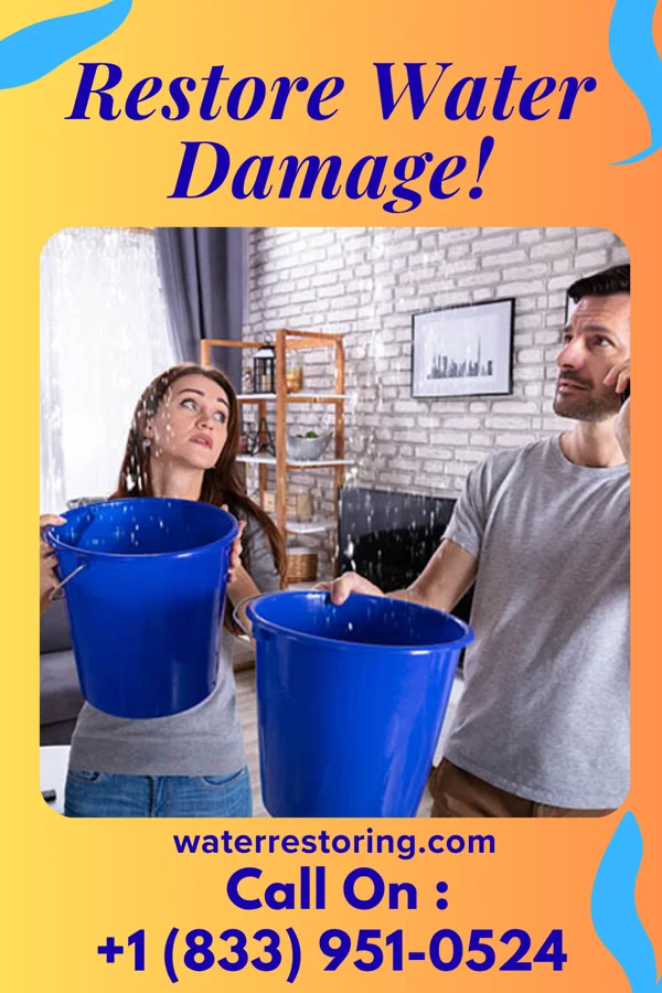 water restoration Coastal Water Repair Force Spring Grove