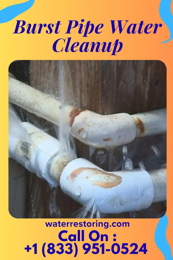 Burst Pipe Water Cleanup in Spring Grove, PA