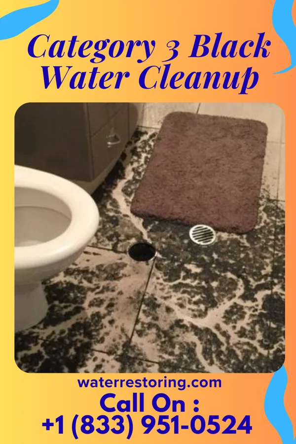 Category 3 Black Water Cleanup in Spring Grove, PA