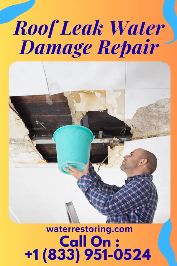 Roof Leak Water Damage Repair in Spring Grove, PA