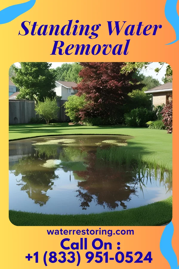 Standing Water Removal in Spring Grove, PA
